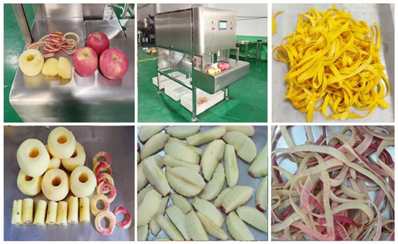 apple peeling machine application