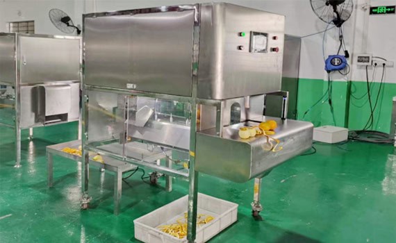 orange peeler machine features