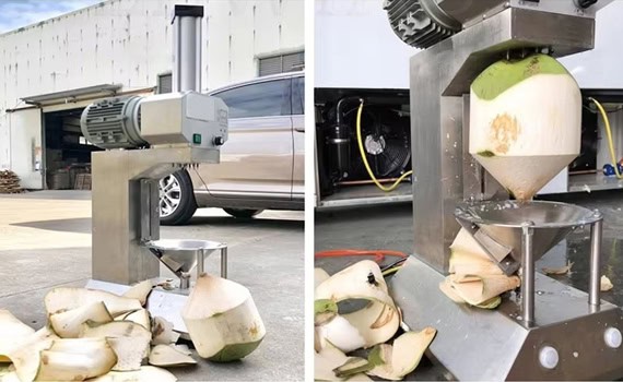young coconut peeling machine features young coconut peeling machine features