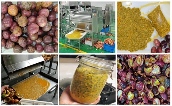 Passion Fruit Juicer Machine Applications Passion Fruit Juicer Machine Applications