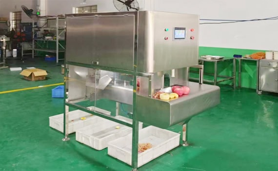 Persimmon Peeling Machine Features Persimmon Peeling Machine Features